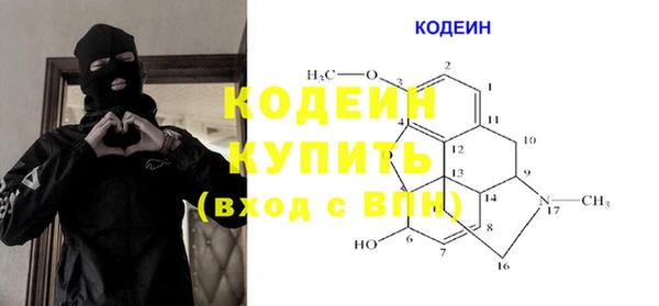 гидра Галич