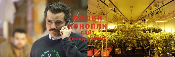 кокаин Заводоуковск