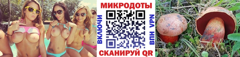 наркота  Ивангород  Галлюциногенные грибы мицелий 